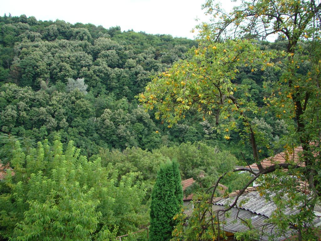Guest House Selin Велико-Тырново Экстерьер фото
